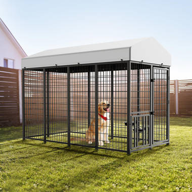 Large dog outlet pen for sale